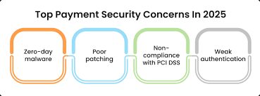 Payment Options and Security Concerns